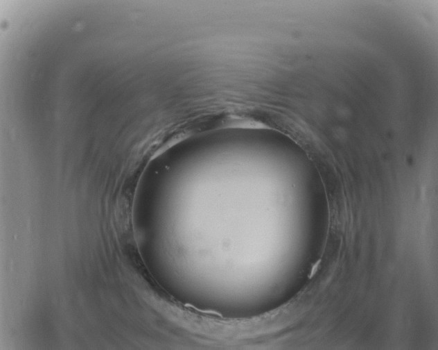 X0000063470043200601271640