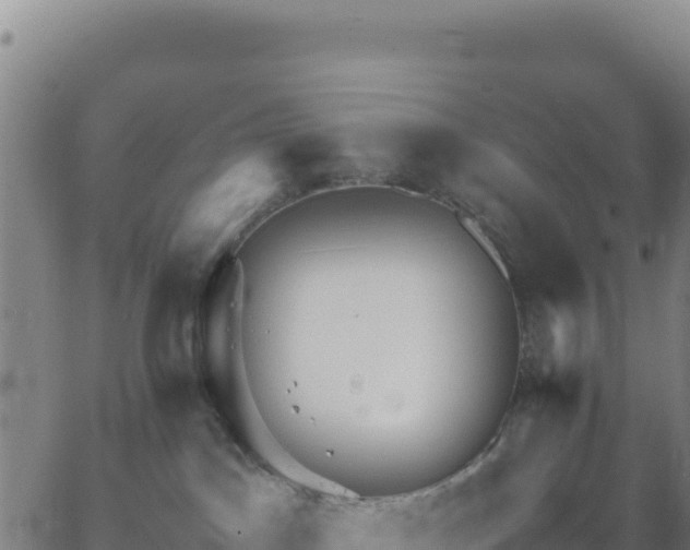 X0000063470045200601271640