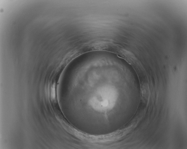 X0000063470046200601271640