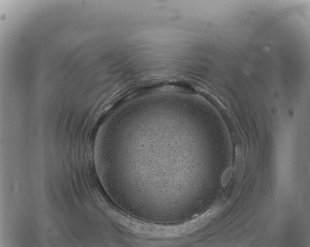 X0000063470048200601271640