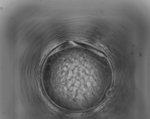 X0000063470049200601271640