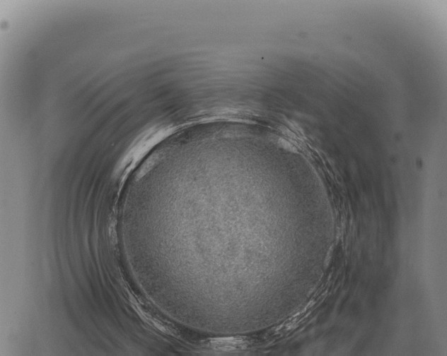 X0000063470050200601271640