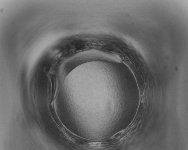 X0000063470052200601271640