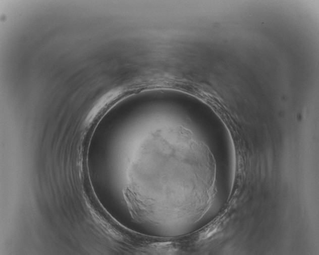 X0000063470054200601271640