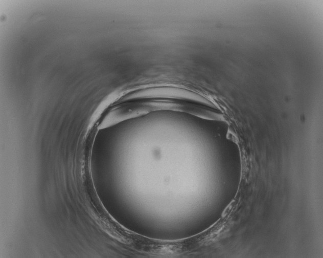 X0000063470056200601271640