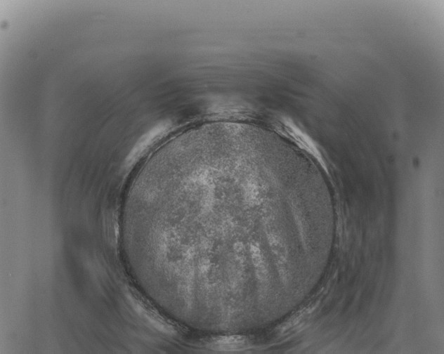 X0000063470059200601271640