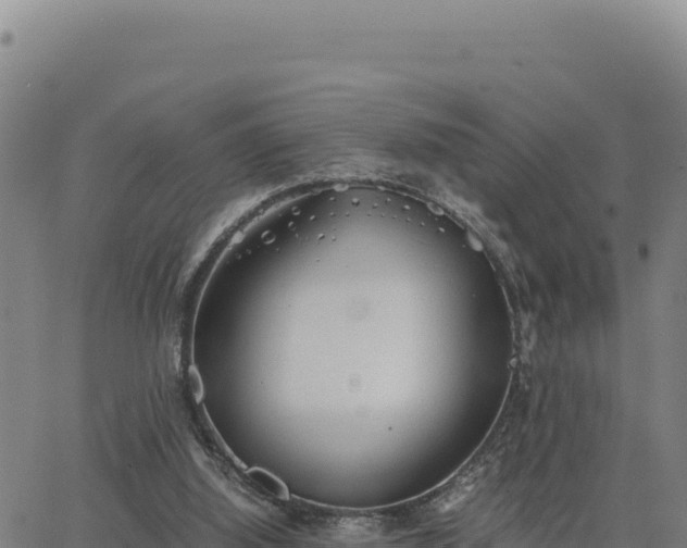 X0000063470060200601271640