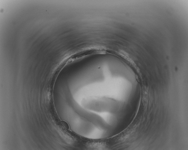 X0000063470063200601271640