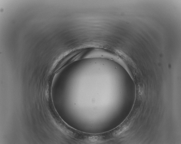 X0000063470064200601271640