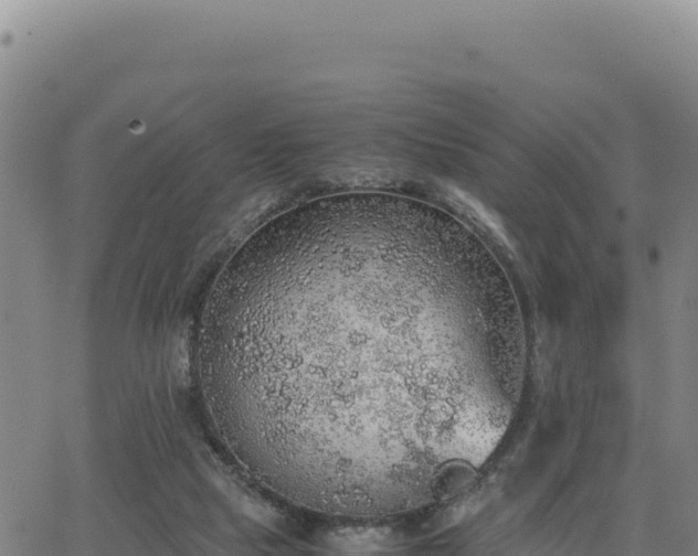 X0000063470065200601271640