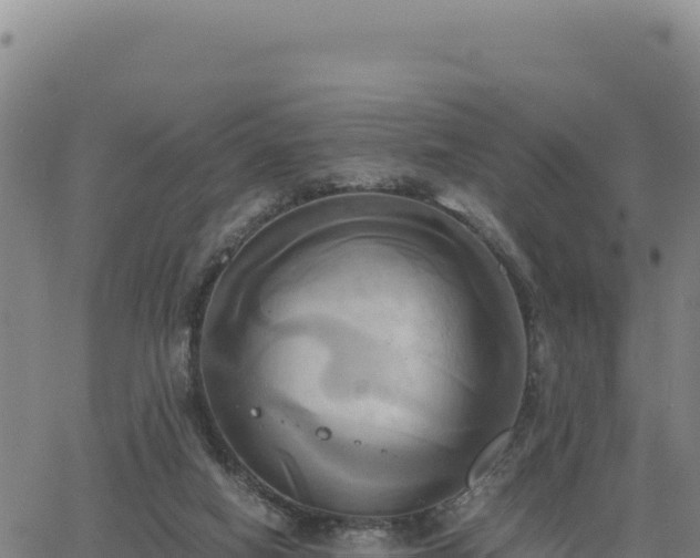 X0000063470066200601271640