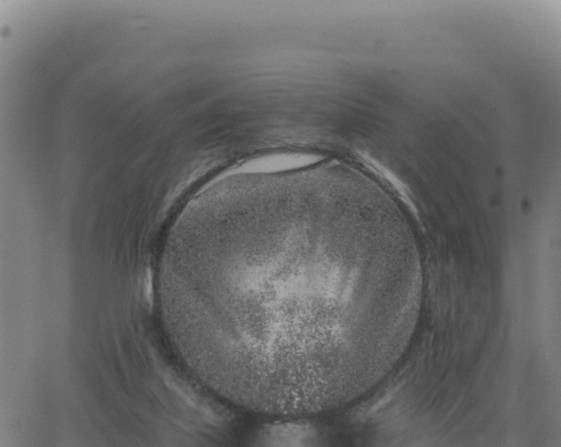 X0000063470067200601271640