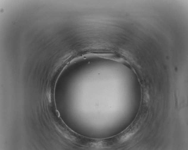 X0000063470068200601271640