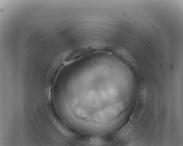 X0000063470070200601271640