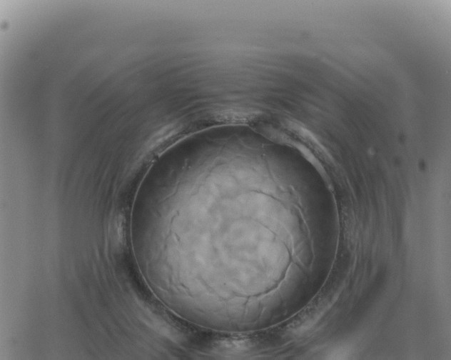 X0000063470071200601271640