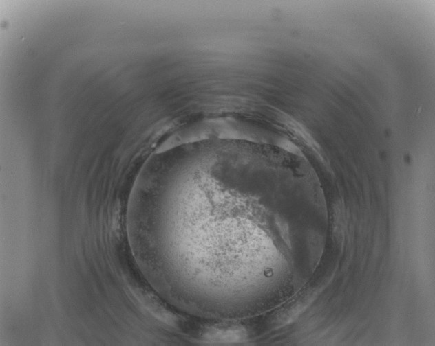 X0000063470073200601271640