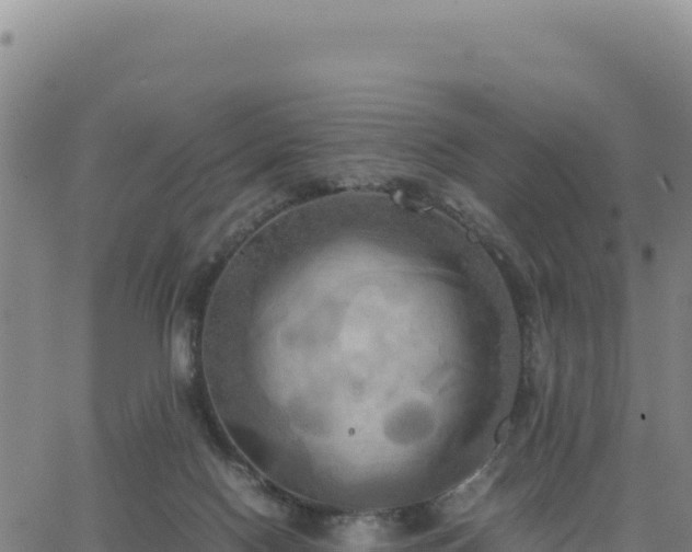 X0000063470074200601271640