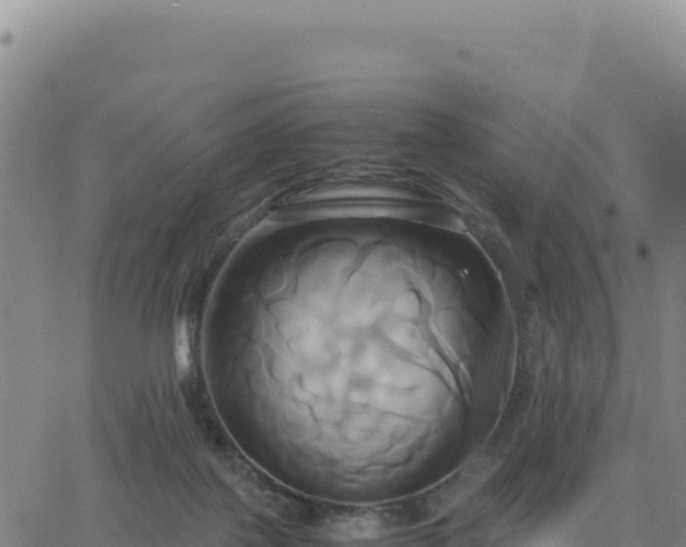 X0000063470075200601271640