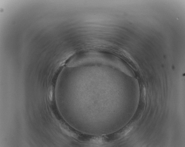 X0000063470076200601271640