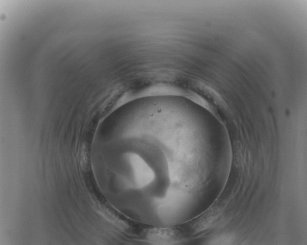 X0000063470077200601271640