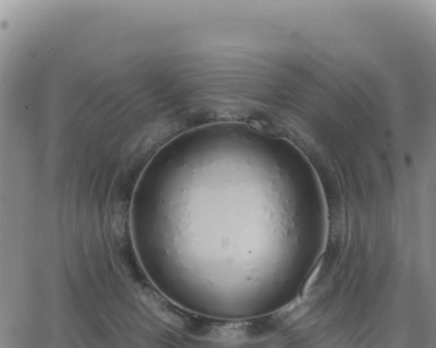 X0000063470078200601271640