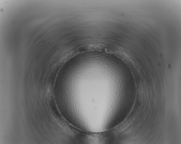 X0000063470079200601271640