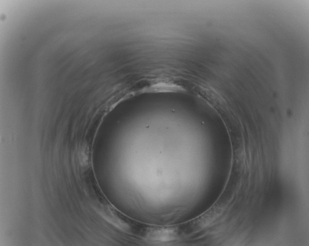 X0000063470081200601271640