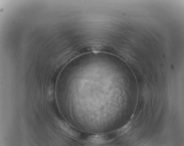 X0000063470082200601271640