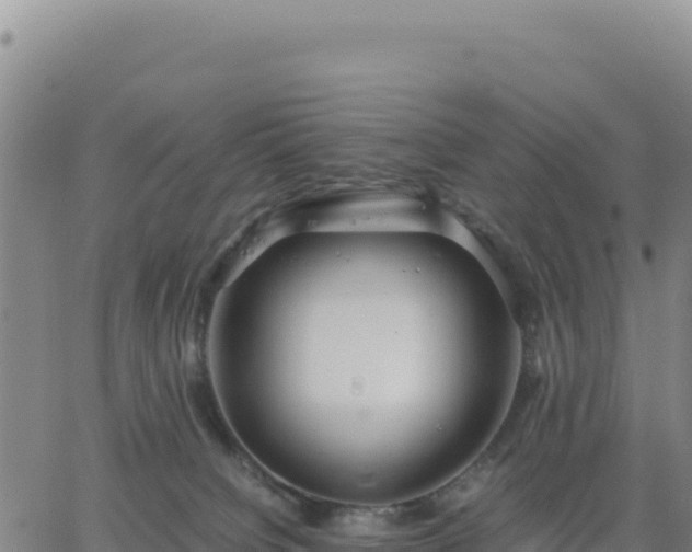 X0000063470084200601271640