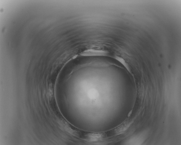 X0000063470085200601271640