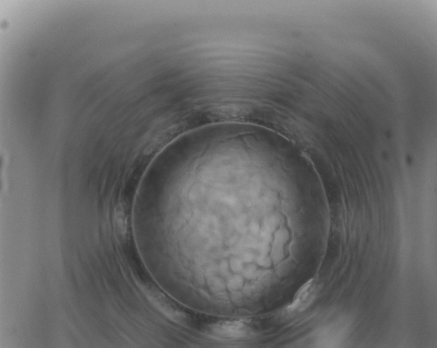 X0000063470086200601271640