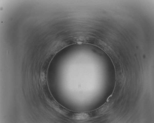 X0000063470087200601271640