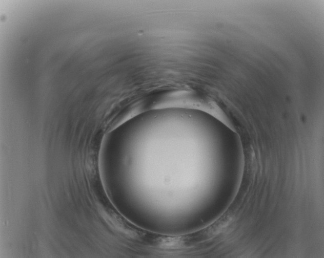 X0000063470088200601271640