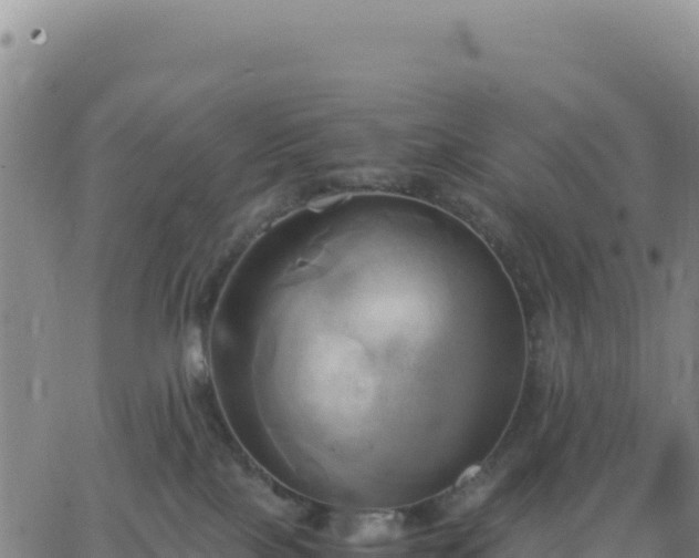 X0000063470089200601271640