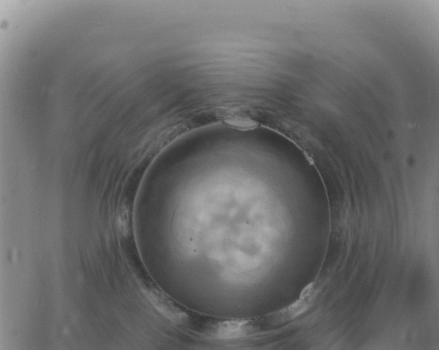 X0000063470090200601271640