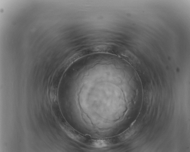 X0000063470091200601271640