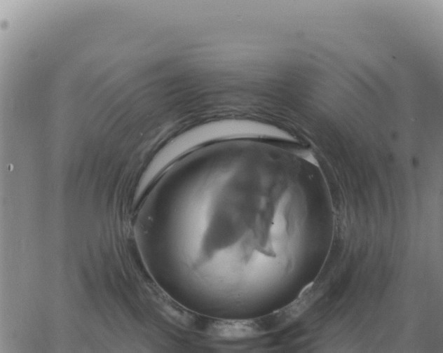 X0000063470093200601271640