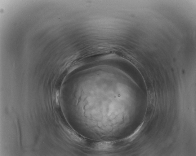 X0000063470094200601271640