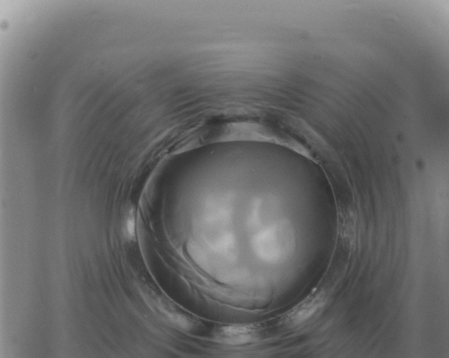 X0000063470095200601271640