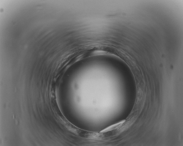 X0000063470096200601271640