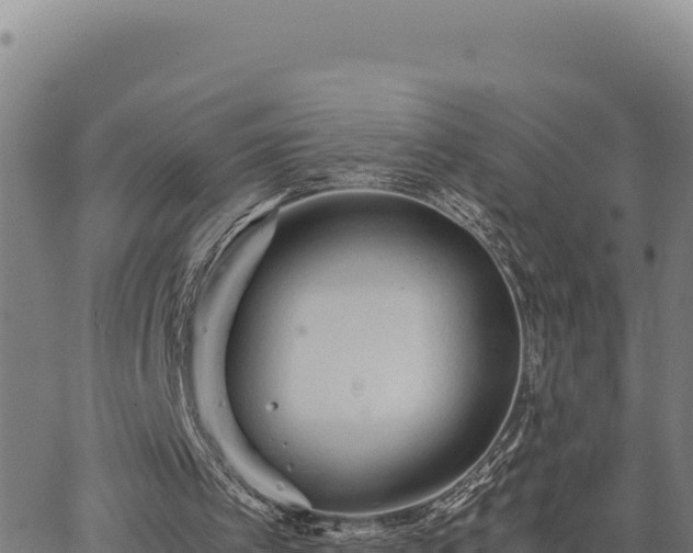 X0000063470097200601271640