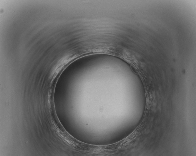 X0000063470098200601271640