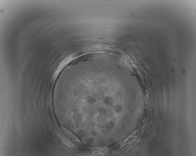 X0000063470099200601271640