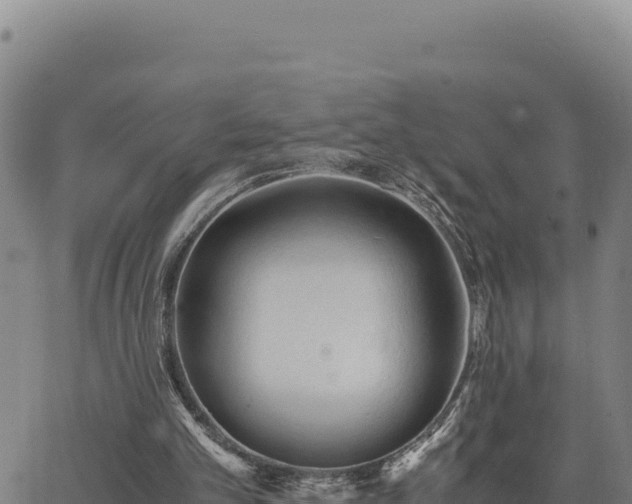 X0000063470101200601271639