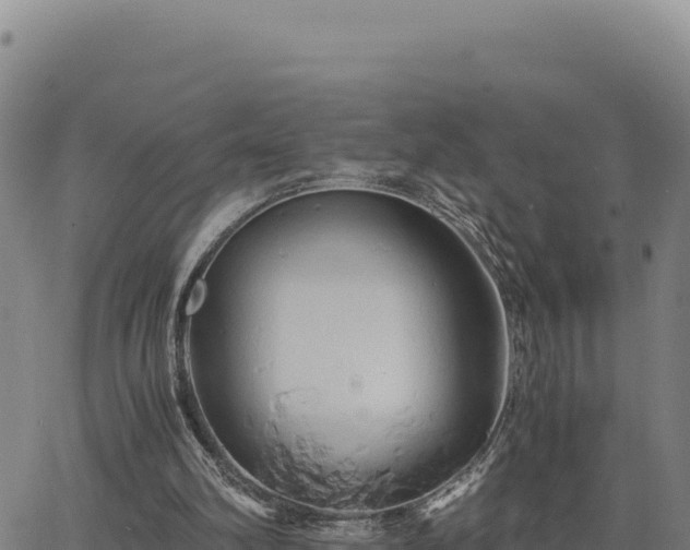 X0000063470102200601271639