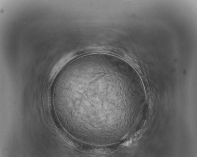 X0000063470103200601271639