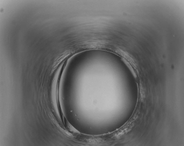 X0000063470105200601271639