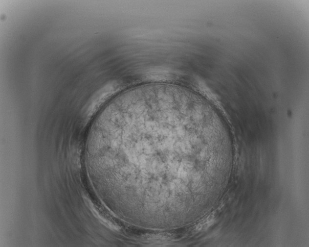 X0000063470106200601271639