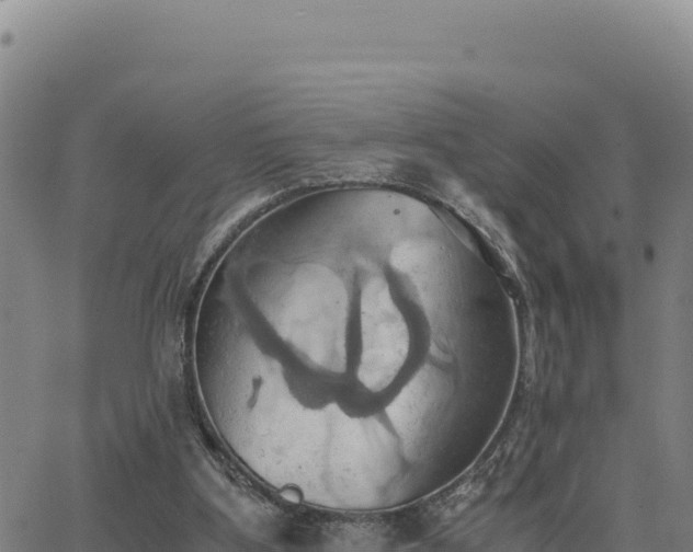 X0000063470107200601271639