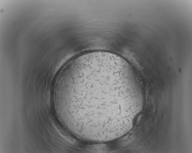 X0000063470108200601271639